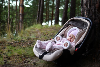 Close-up of baby in carriage against tree trunk in forest