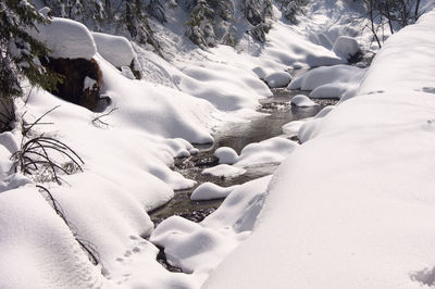 Creek flowing through snow covered forest