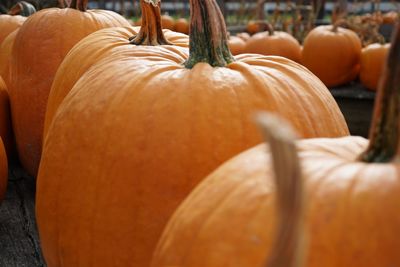 Close-up of pumpkin for sale at market