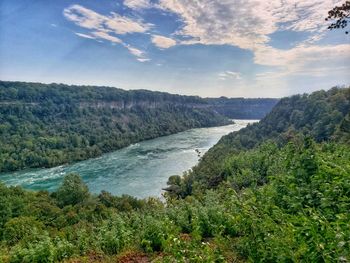 Scenic view of river amidst trees against sky