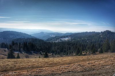 Zlatar mountain