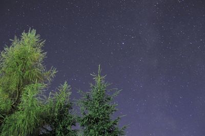 Low angle view of star field against star field