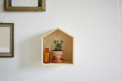 Potted plants on wall at home