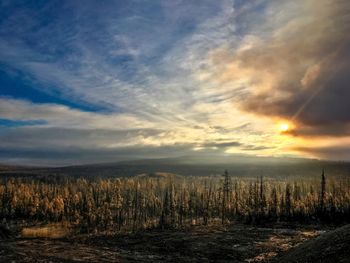 Scenic view of field against dramatic sky during sunset