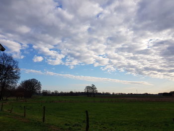 Scenic view of agricultural field against sky