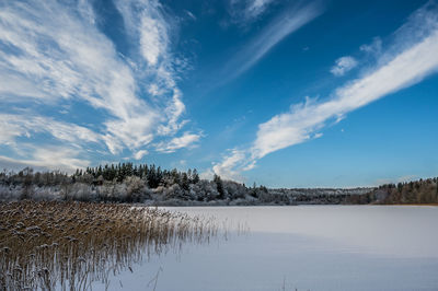 View over frozen lake kulsø, near bryrup, jutland