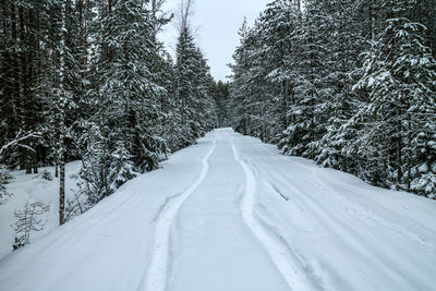 Road amidst trees against sky during winter