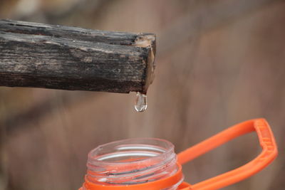 Close-up of water drop on wood over bottle