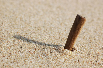 Close-up of sand on beach