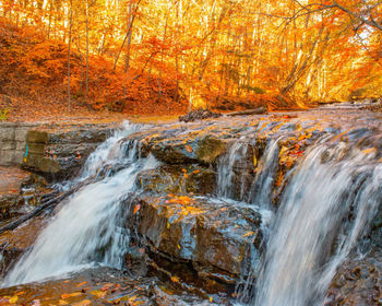 Scenic view of waterfall in forest during autumn