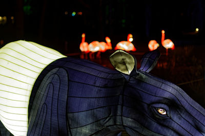 Close-up of lit candles in temple at night