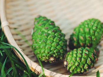 Close-up of green pine cones in basket