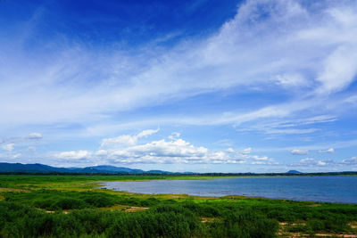 The view of the reservoir and plants green color during the rainy season with beautiful clouds. 