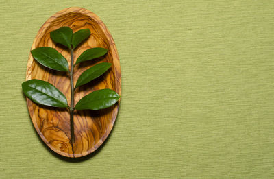 Directly above shot of leaves on table