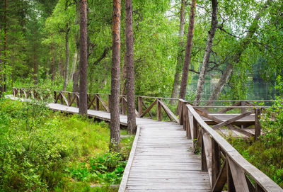 Wooden footbridge amidst trees in forest