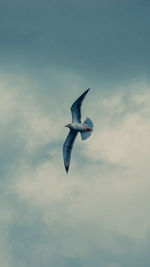 Low angle view of seagull flying in sky