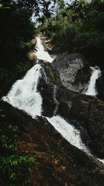 High angle view of river flowing amidst trees in forest