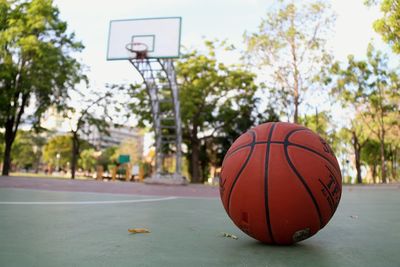 Close-up of basketball hoop against trees