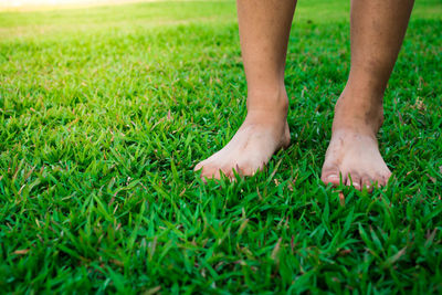 Low section of boy standing on grass