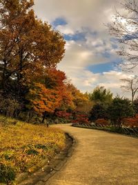 Scenic view of landscape against sky during autumn