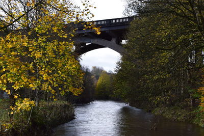 Bridge over river in forest against sky