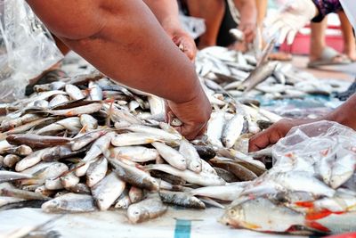 Midsection of man holding fish at market