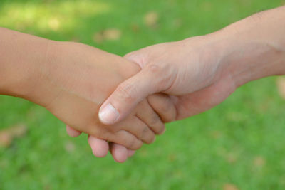 Close-up of hand holding hands of grass