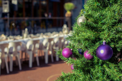 Close-up of christmas decorations on plant