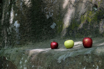 Close-up of apples on rock