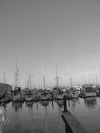 Sailboats in sea