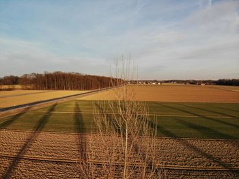 Scenic view of agricultural field against sky