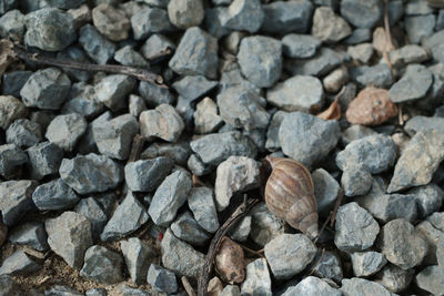 Full frame shot of pebbles