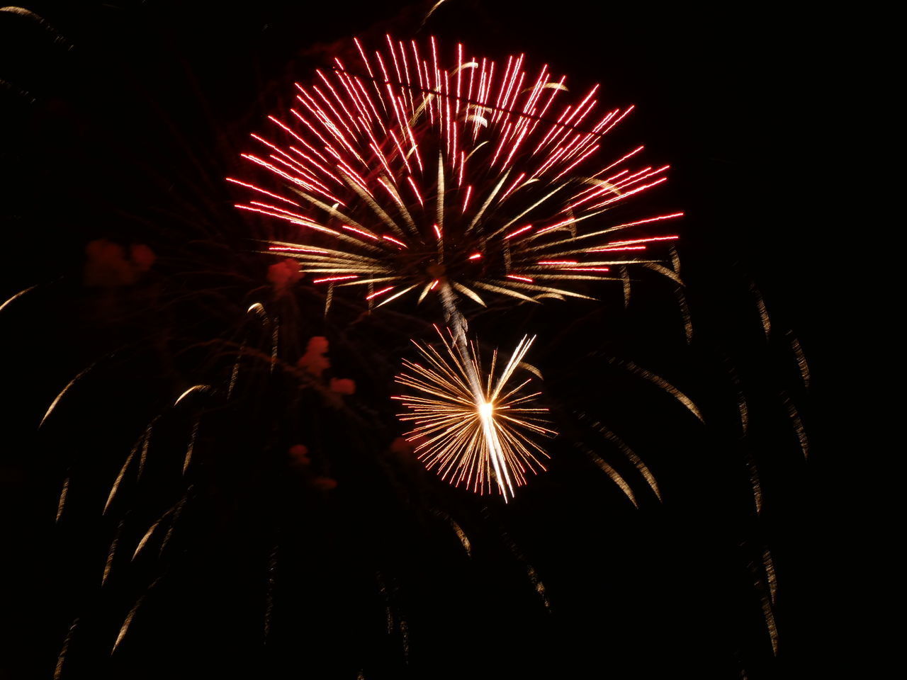 FIREWORK DISPLAY AT NIGHT