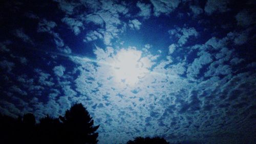 Low angle view of silhouette trees against blue sky