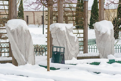 Plants and trees in a park or garden covered by the snow and blanket