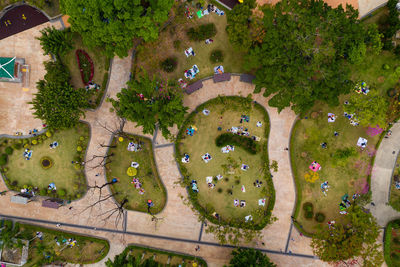 High angle view of plants growing in park