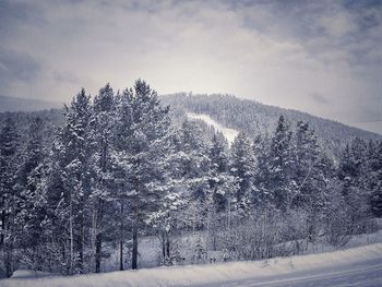 Snow covered land against sky