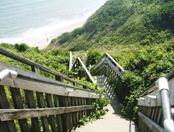 Footbridge over river amidst trees