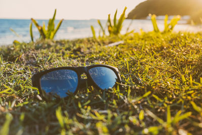 Close-up of sunglasses on grass