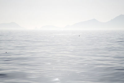 Scenic view of lake against sky during foggy weather