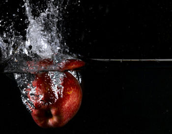 Close-up of apples in water against black background
