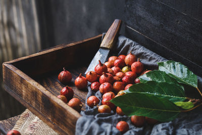 Close-up of red berries