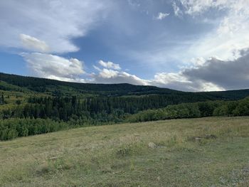 Scenic view of field against sky