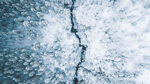 High angle view of snow covered trees on landscape