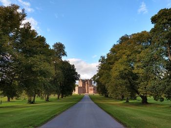 Looking down tree lined avenue of empty road with castle at the end 