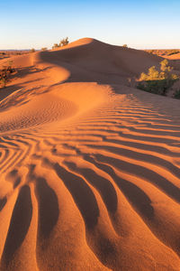 Scenic view of desert against sky during sunset