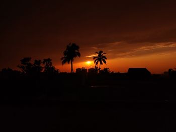 Silhouette palm trees against sky during sunset