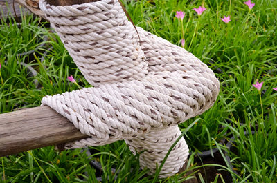 Close-up of rope on field