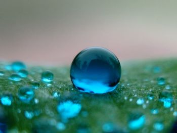 Close-up of bubbles