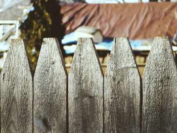 Close-up of row of objects on white surface